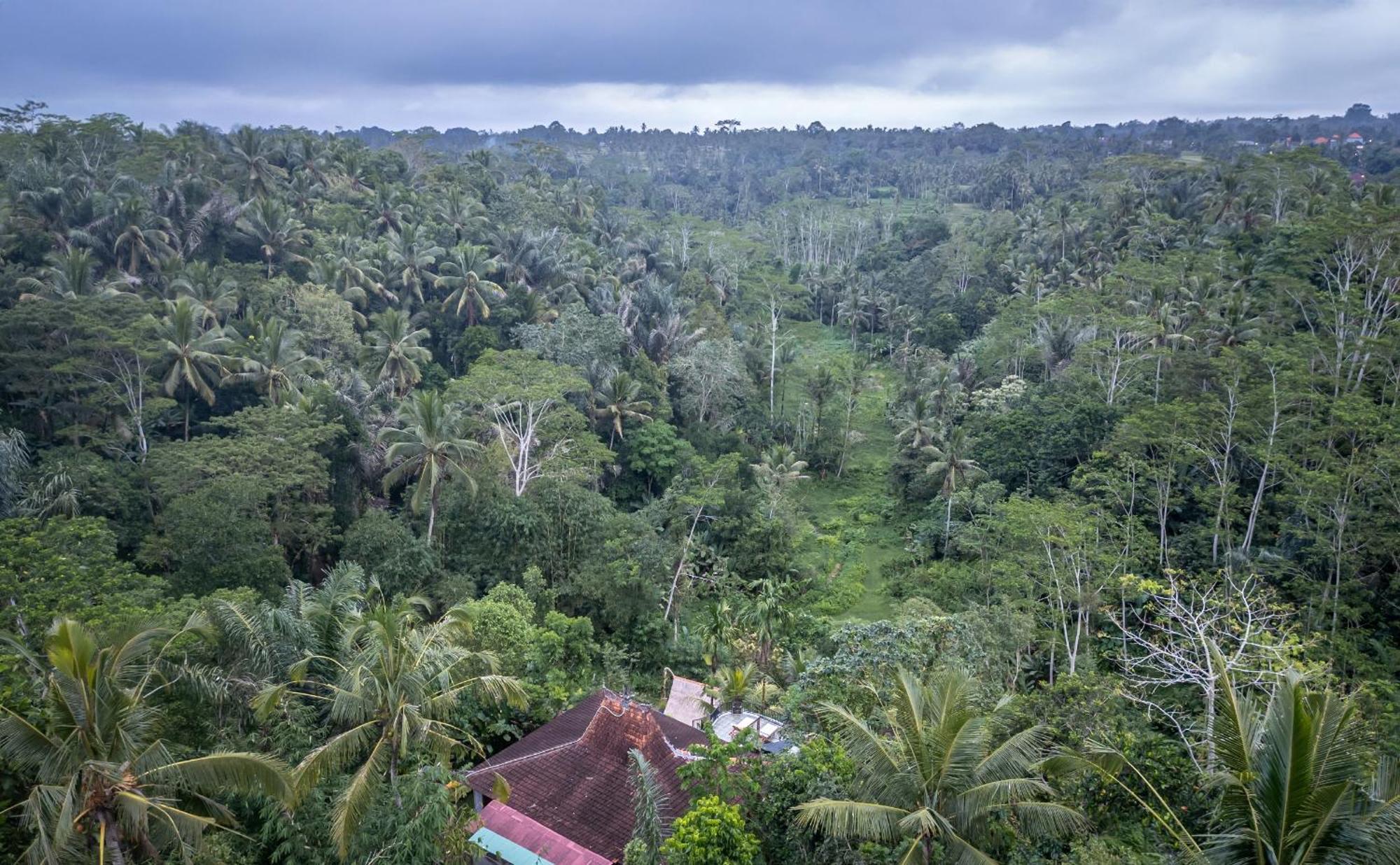 Yoga Maya Villa Payangan Extérieur photo